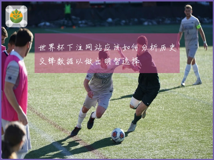 世界杯下注网站应该如何分析历史交锋数据以做出明智选择