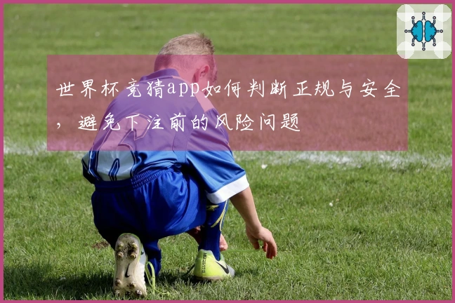 世界杯竞猜app如何判断正规与安全，避免下注前的风险问题