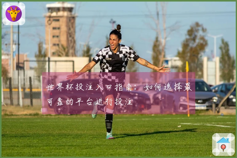 世界杯投注入口指南:如何选择最可靠的平台进行投注