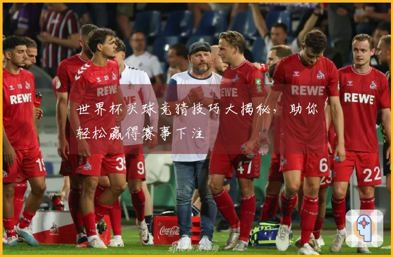 世界杯买球竞猜技巧大揭秘，助你轻松赢得赛事下注