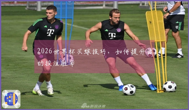 2026世界杯买球技巧，如何提升你的投注胜率